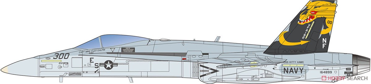 アメリカ海軍艦上戦闘機 F/A-18C ホーネット ゴールデンドラゴンズ (2機セット) (プラモデル) 塗装1