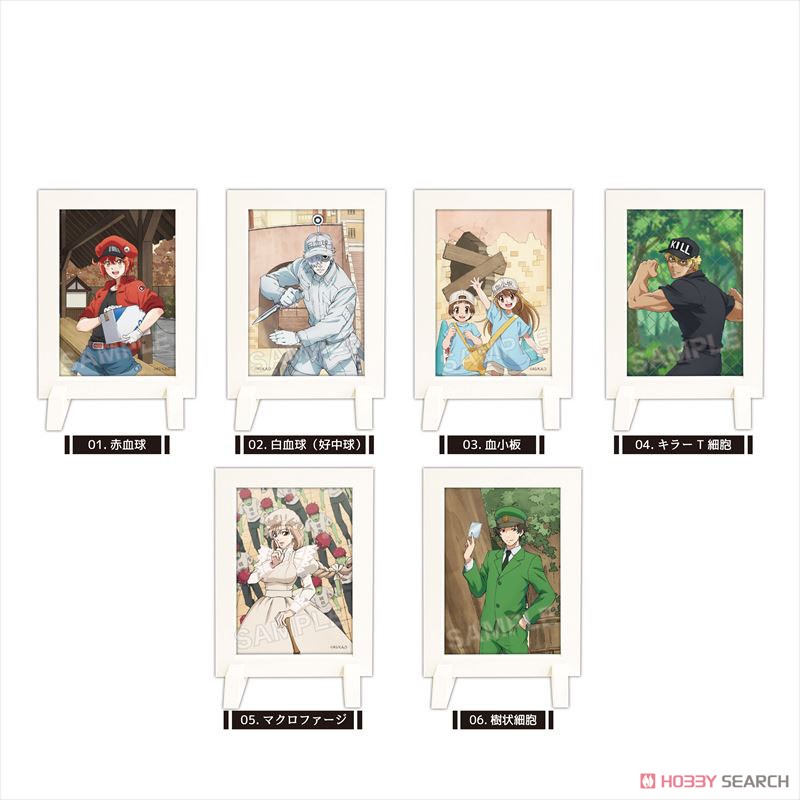 Cells at Work! Dress Up Photo Stand 01 Vol.1 (Set of 6) (Anime Toy) Item picture1
