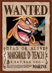 One Piece No.208-071 Wanted [Marshall D Teach] (Jigsaw Puzzles)