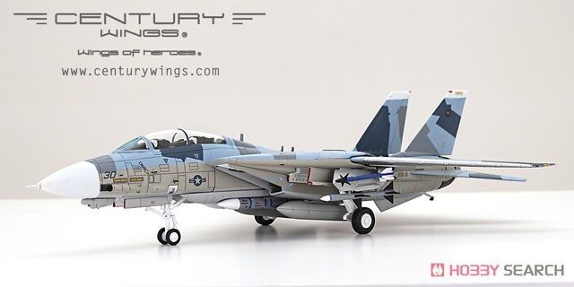 F-14A アメリカ海軍 戦闘機兵器学校(NFWS)「TOPGUN」 仮想敵機青色迷彩 ミラマー基地 95年 #30 (完成品飛行機) 商品画像4