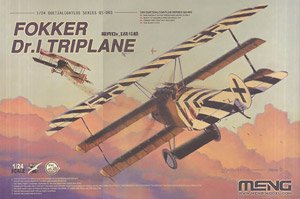 Fokker Dr.I Triplane & Blue Max Medal (Plastic model)