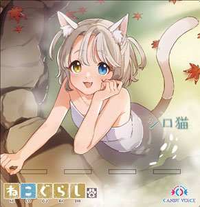 ねこぐらし。 アクリルスマホスタンド シロ猫・温泉 (キャラクターグッズ)