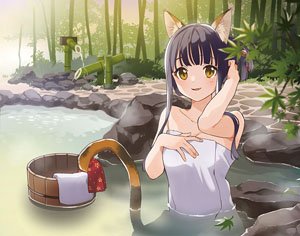 ねこぐらし。 F6キャンバス ミケ猫・温泉 (キャラクターグッズ)