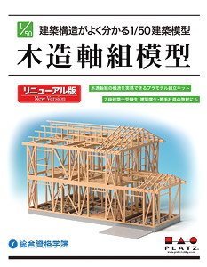 Wooden Framework Model New Version (Plastic model)