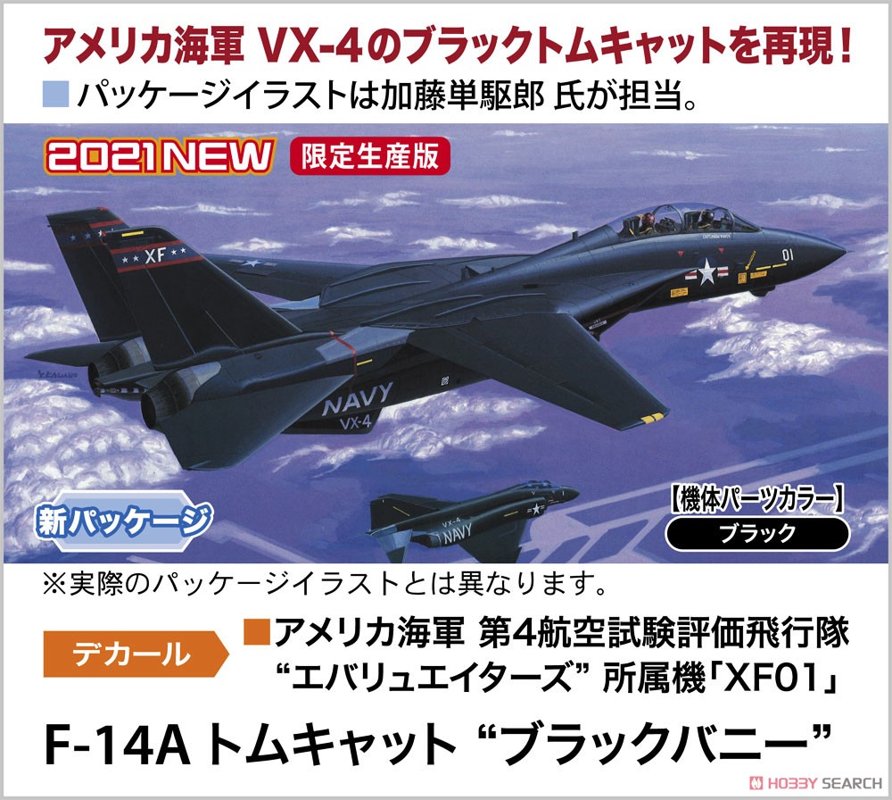 F-14A トムキャット `ブラックバニー` (プラモデル) その他の画像1
