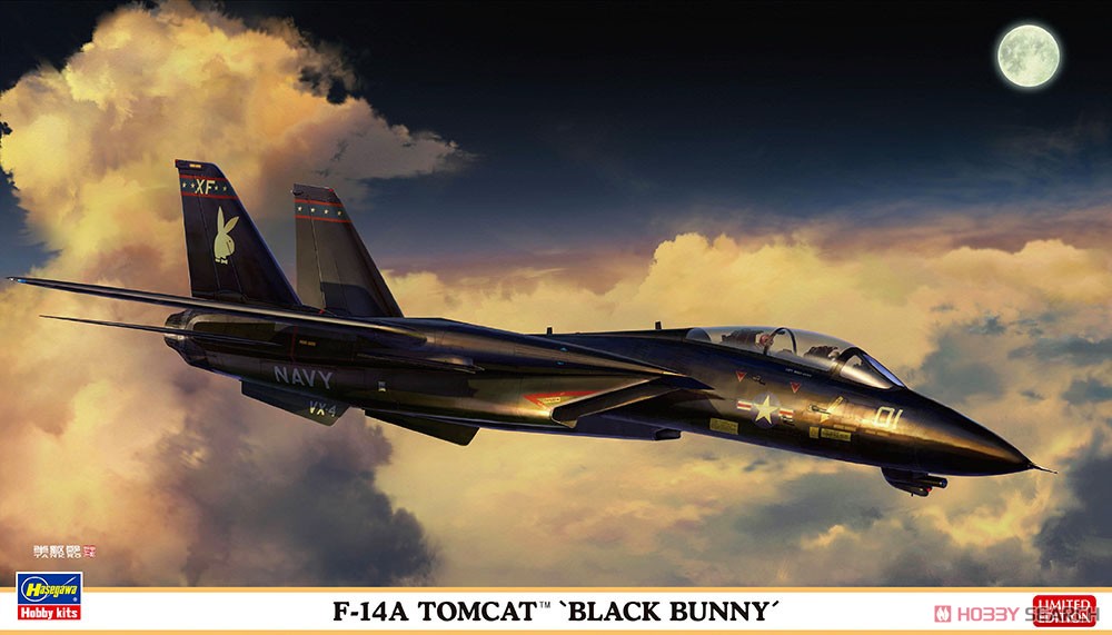 F-14A トムキャット `ブラックバニー` (プラモデル) パッケージ1