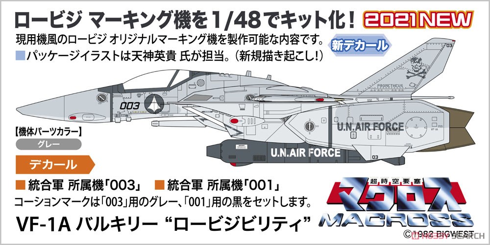 长谷川21年5月 1/48 VF-1A 低可视配色