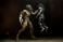 The Predator/ Unarmored Assassin Predator 7inch Action Figure (Completed) その他の画像11 Thumbnail