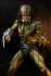 The Predator/ Unarmored Assassin Predator 7inch Action Figure (Completed) その他の画像5 Thumbnail