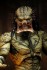 The Predator/ Unarmored Assassin Predator 7inch Action Figure (Completed) その他の画像6 Thumbnail