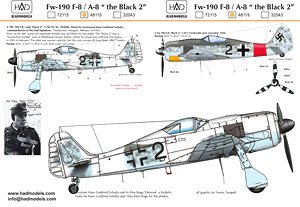 WW.II ドイツ空軍 フォッケウルフ Fw190 F-8/A-8 デカール (デカール)