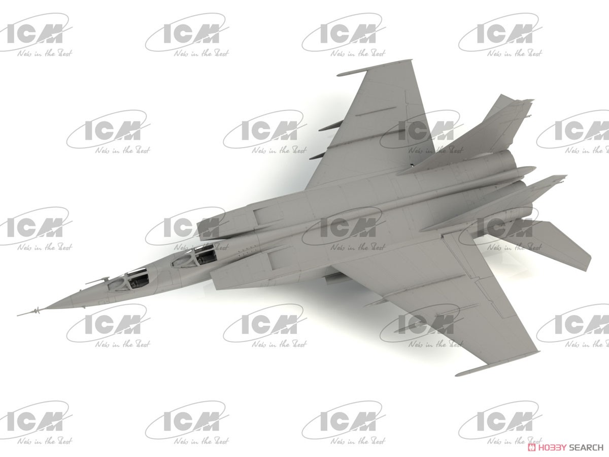 MiG-25PU Soviet Training Aircraft (Plastic model) その他の画像5