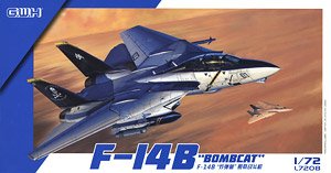US Navy F-14B `Bombcat` (Plastic model)