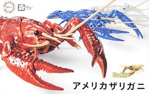 Biology Edition Crayfish (Gold) (Plastic model)