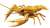 Biology Edition Crayfish (Gold) (Plastic model) Item picture1