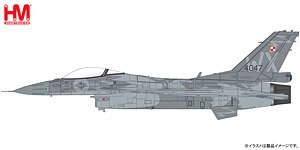 F-16C `ポーランド空軍創設100周年記念塗装` (完成品飛行機)