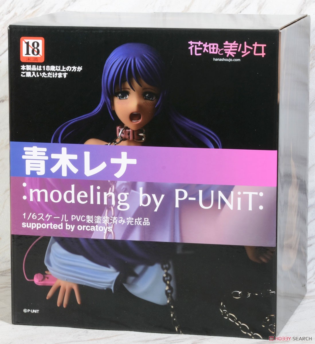 青木レナ:modeling by P-UNiT: (フィギュア) パッケージ1