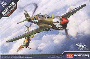 P-40N Warhawk `Battle of Imphal` (Plastic model)