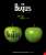 THE BEATLES Apple STATUE COLOUR Ver. (Completed) Item picture4