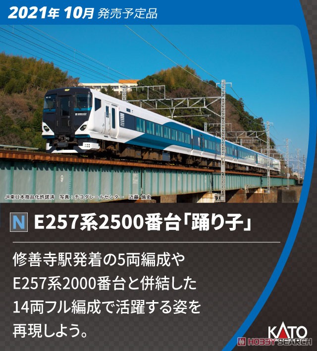 E257系2500番台 「踊り子」 5両セット (5両セット) (鉄道模型) その他の画像1
