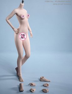 Super Flexible Female Seamless Body with Stainless Steel Skeleton Pale/Small Breasts S44A (Fashion Doll)