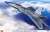 F-22 Raptor `Blue Nose Detail Up Version` (Plastic model) Package1