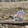 Laid-Back Camp Season 2 Go Out Photo Stand! Cart Nadeshiko (Anime Toy) その他の画像1 Thumbnail