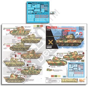 31. Pz.Rgt., 5. Pz.Div. Panthers (Decal)