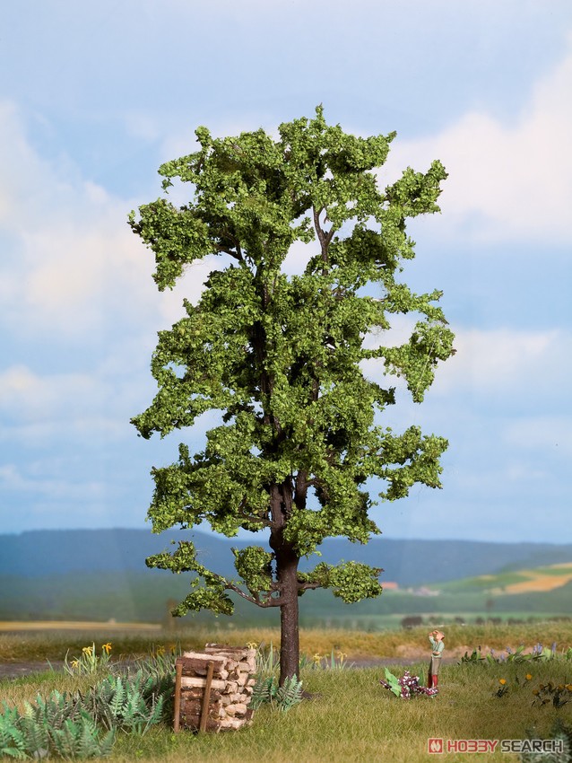21780 (O/HO/TT/N) Lime Tree (Linde) (Height : 7.3inch) (Model Train) Other picture1