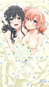 やはり俺の青春ラブコメはまちがっている。完 マルチタペストリーのれん (雪乃&結衣) (キャラクターグッズ)