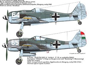 WW.II ドイツ空軍 フォッケウルフ Fw190F-8 デカール (デカール)