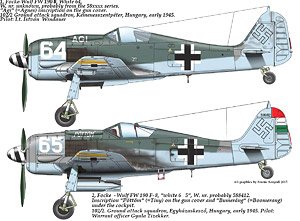 Focke Wulf Fw190 F-8 (Decal)