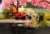 PANDEM GR SUPRA ADVAN LIVERY & レースクイーン セット (ミニカー) その他の画像3