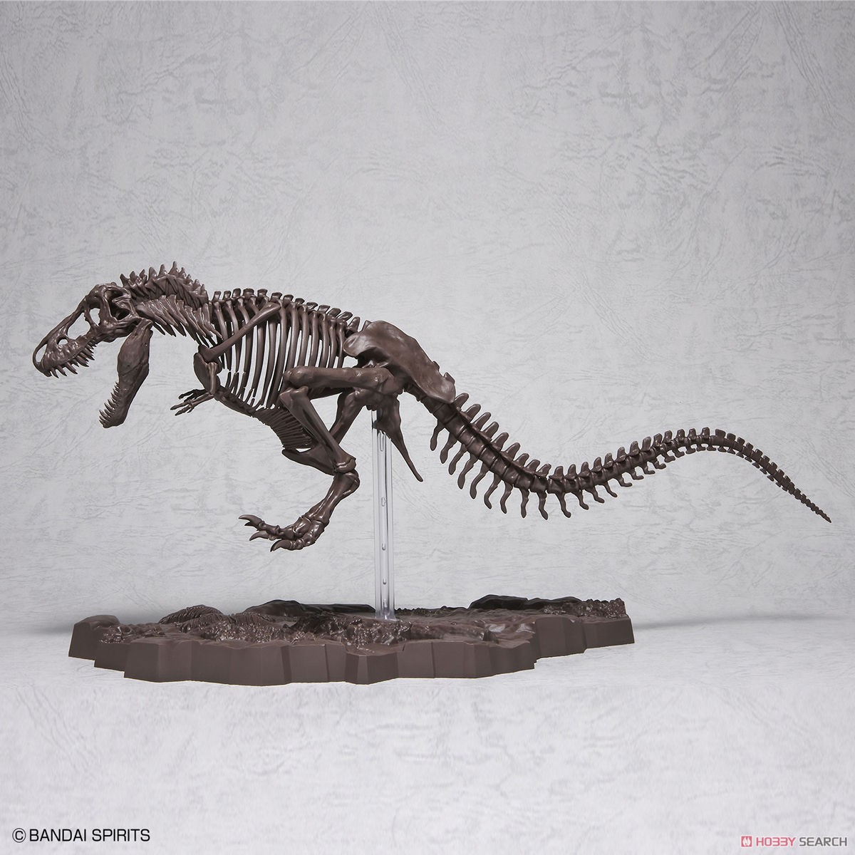 Imaginary Skeleton ティラノサウルス (プラモデル) 商品画像10