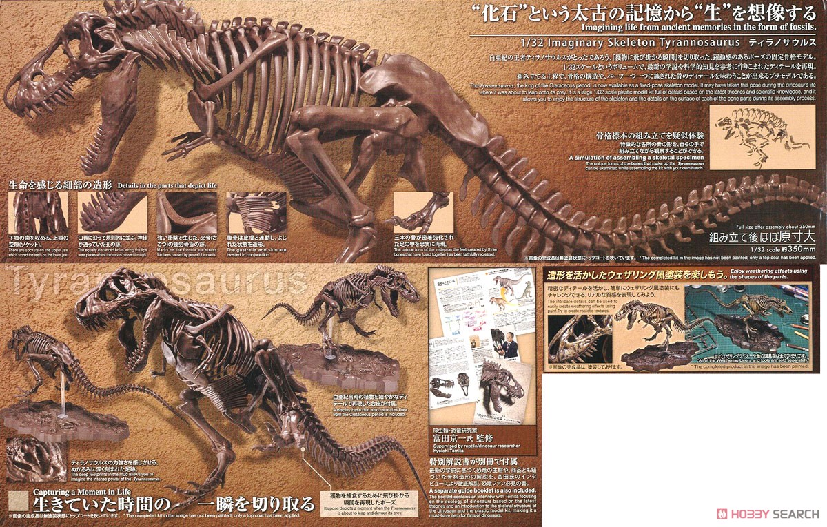 Imaginary Skeleton ティラノサウルス (プラモデル) 商品画像11