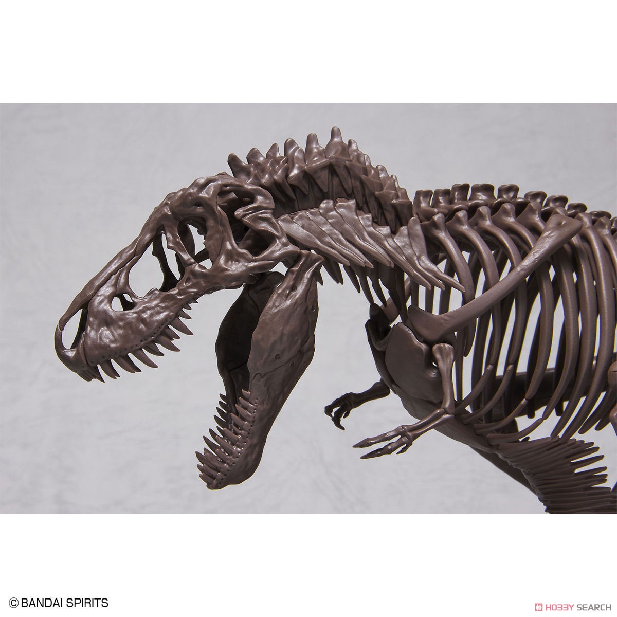 Imaginary Skeleton ティラノサウルス (プラモデル) 商品画像2