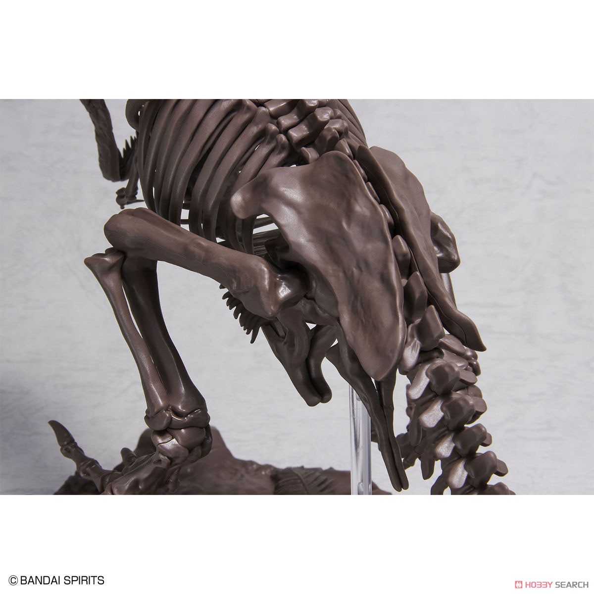 Imaginary Skeleton ティラノサウルス (プラモデル) 商品画像3