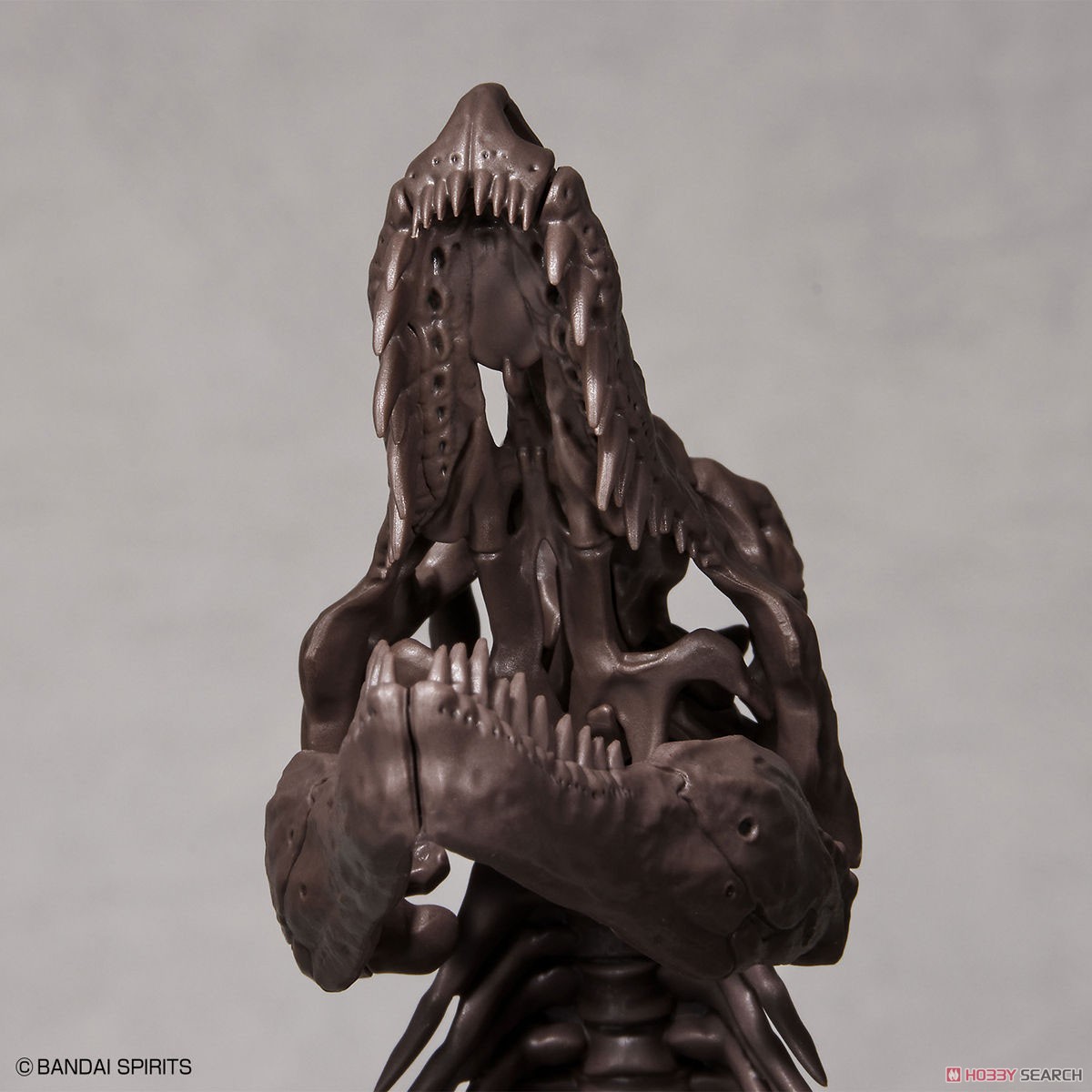 Imaginary Skeleton ティラノサウルス (プラモデル) 商品画像5