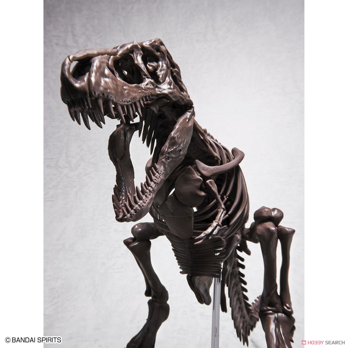 Imaginary Skeleton ティラノサウルス (プラモデル) 商品画像7