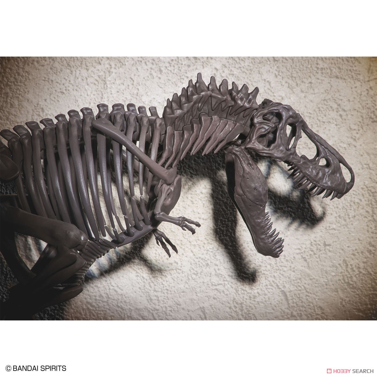 Imaginary Skeleton ティラノサウルス (プラモデル) 商品画像8