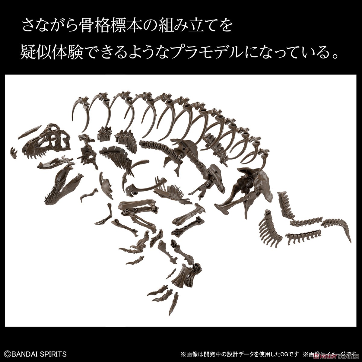Imaginary Skeleton ティラノサウルス (プラモデル) その他の画像5