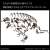 Imaginary Skeleton ティラノサウルス (プラモデル) その他の画像5