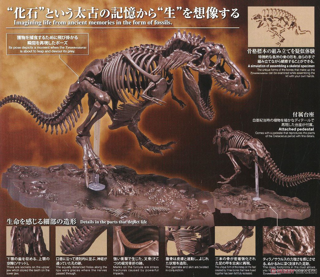 Imaginary Skeleton ティラノサウルス (プラモデル) 解説1