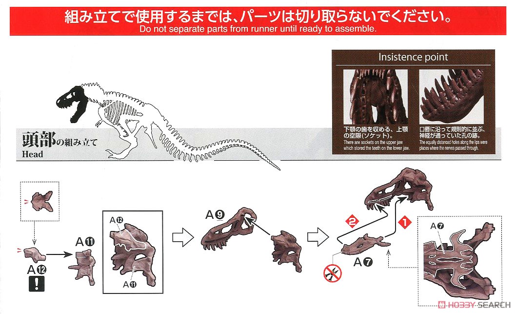 Imaginary Skeleton ティラノサウルス (プラモデル) 設計図1