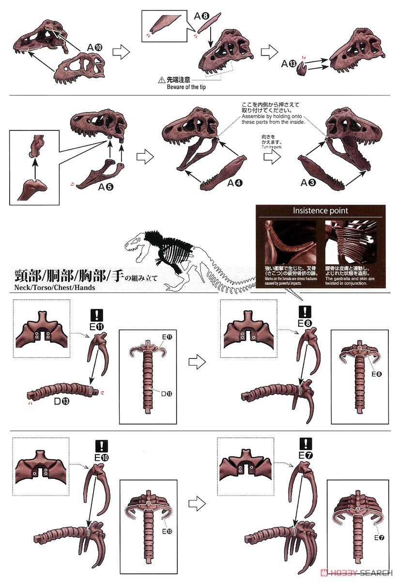 Imaginary Skeleton ティラノサウルス (プラモデル) 設計図2