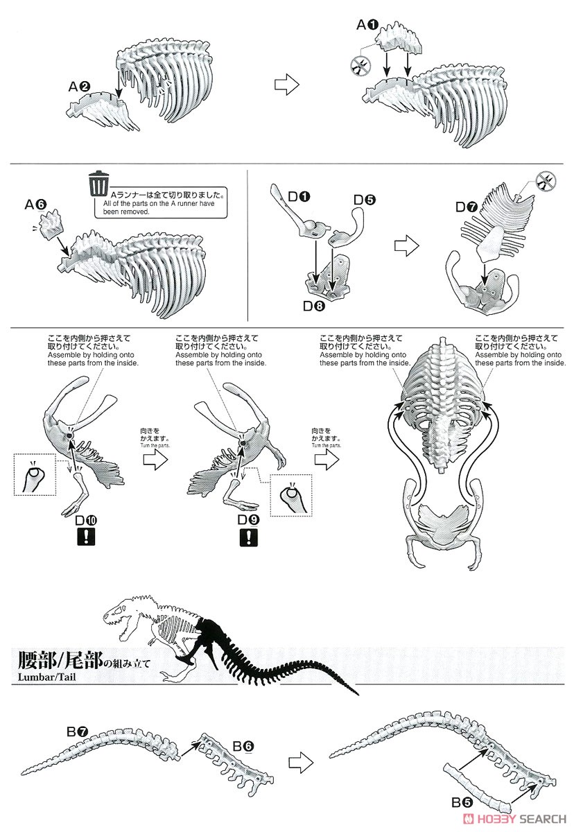 Imaginary Skeleton ティラノサウルス (プラモデル) 設計図4