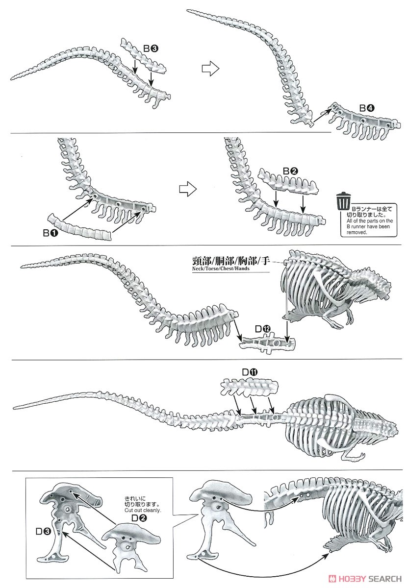 Imaginary Skeleton ティラノサウルス (プラモデル) 設計図5