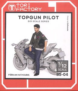 Topgun Pilot (Plastic model)