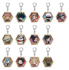 Jujutsu Kaisen Trading Acrylic Key Ring (DIY Deformed Series) (Set of 13) (Anime Toy)