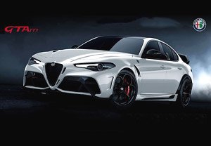 Alfa Romeo Giulia GTAm Bianco Trofeo Roll Bar Bianco Trofeo Brakes Red (Diecast Car)